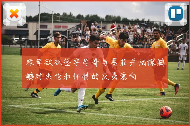 绿军欲双签字母哥与墨菲并试探鹈鹕对杰伦和怀特的交易意向